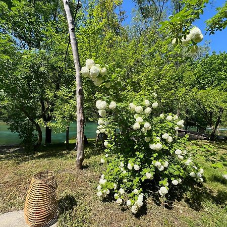 Anur Apartment Bihać 外观 照片