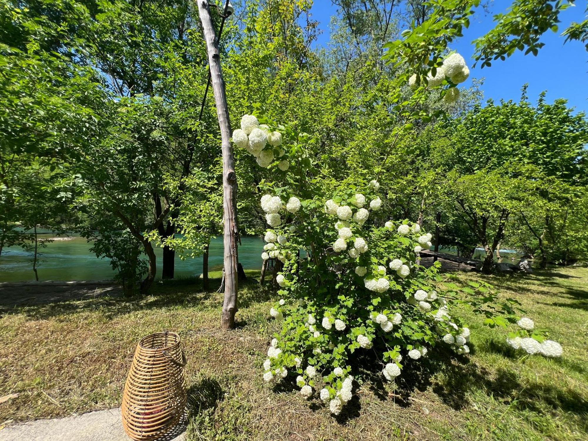 Anur Apartment Bihać 外观 照片