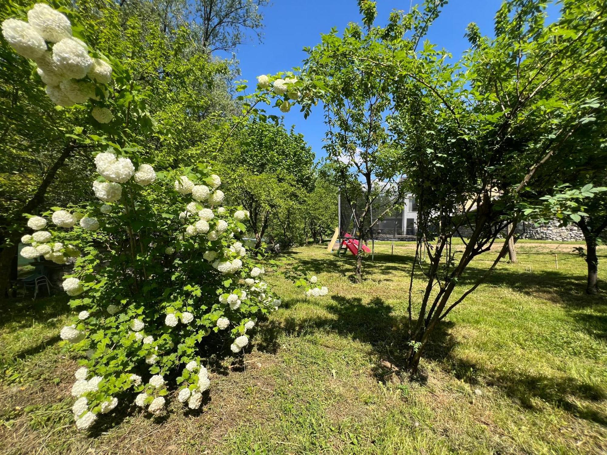 Anur Apartment Bihać 外观 照片